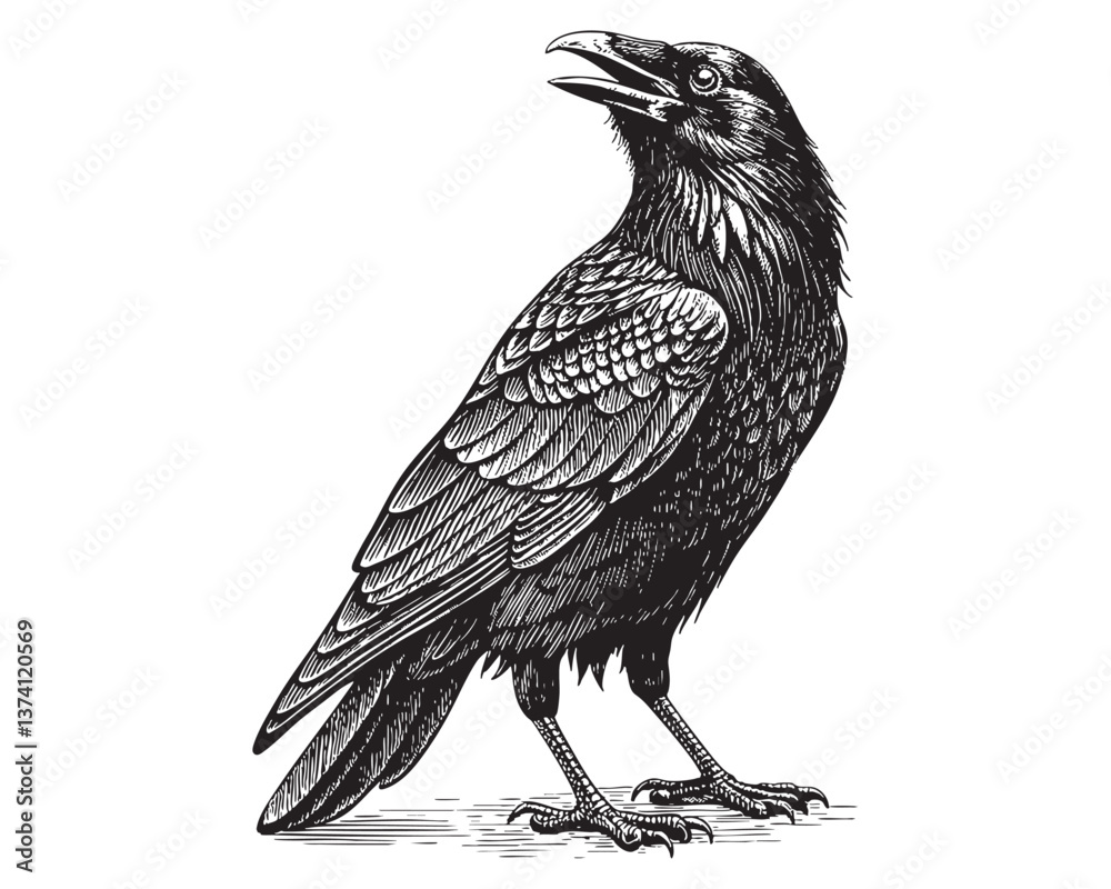 Fototapeta premium black raven woodcut engraving vector illustration