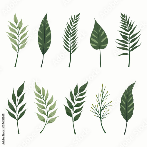 Leaves set illustration vector white background collection	