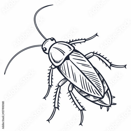 cockroach line art vector