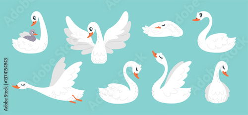Cartoon swan. White swans in different poses. Beautiful fairytale birds, wild population of rivers lake ponds. Cute tiny duckling bird with mother, classy vector set