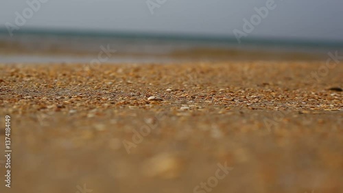 sea