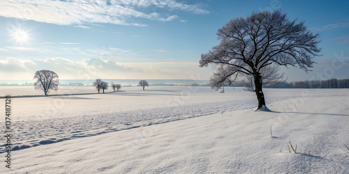A vast field covered in a thick blanket of snow, stretching toward the horizon. The untouched white surface glistens under the soft winter sun, with a few leafless trees standing in the distance.