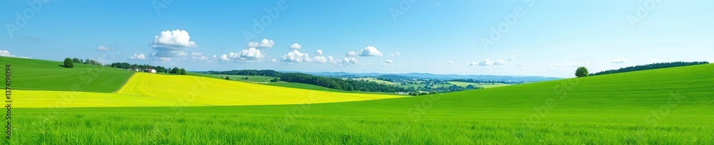 Obraz premium Vibrant green fields stretch across the picturesque landscape of Innviertel, Austria, under a clear blue sky, sunny, rural