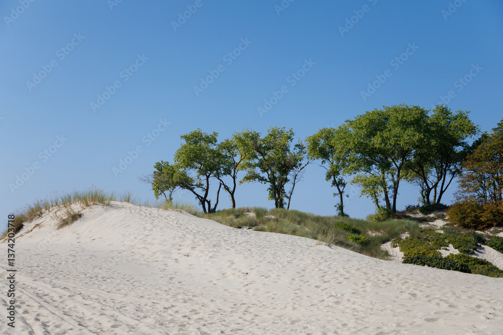 The landscape of the Vistula Spit