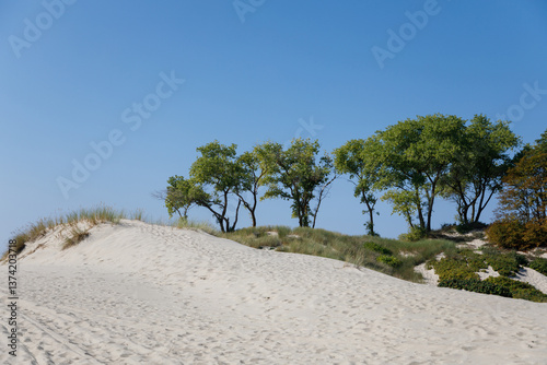 The landscape of the Vistula Spit
