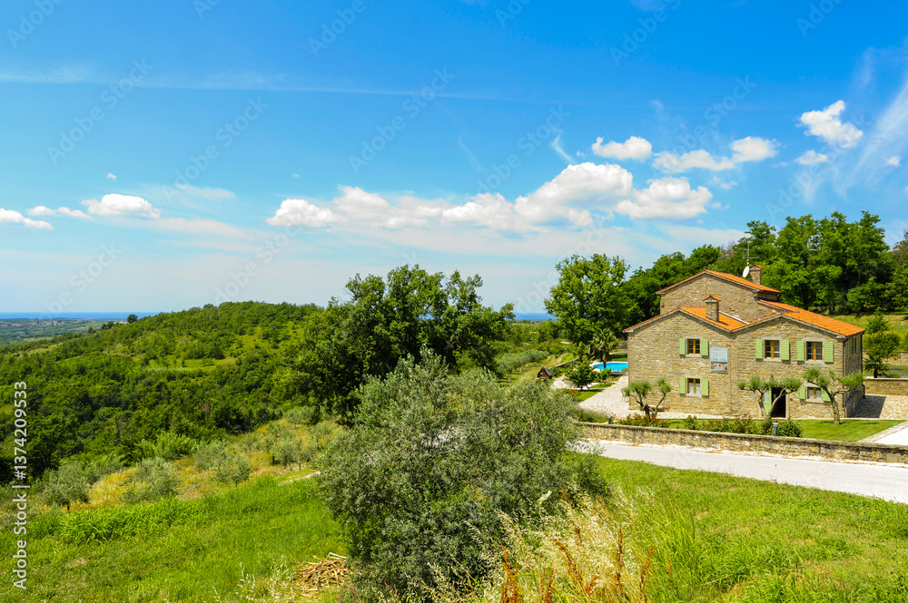 Fototapeta premium Istrien, Kroatien, Krasica