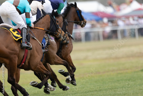 фотографія Thoroughbred horses race side by side in symmetry in a steeplechase competition
