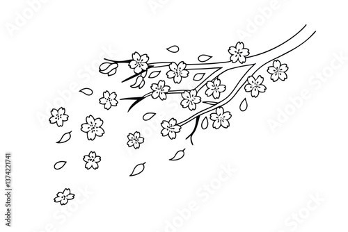 Elegant Line Drawing of Cherry Blossom Branch and Falling Petals