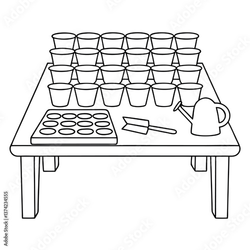 Gardening project planting seeds in pots to observe. 