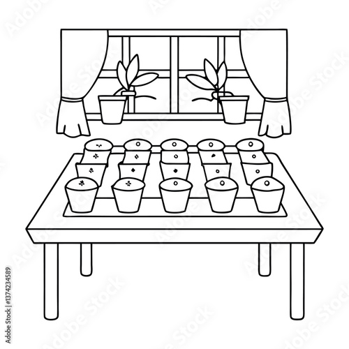 Gardening project planting seeds in pots to observe. 
