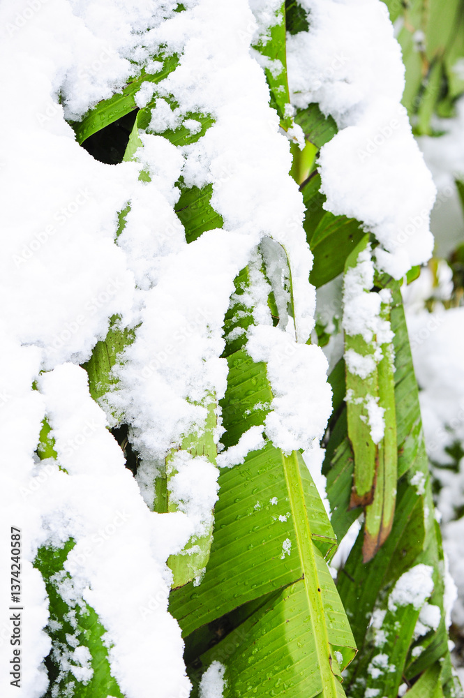 Φωτογραφία Wintereinbruch, Österreich, NIederösterreich, Südliches NÖ,