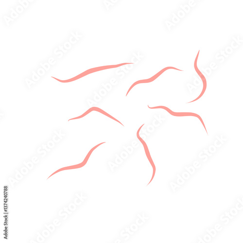 Worms intestinal icon
