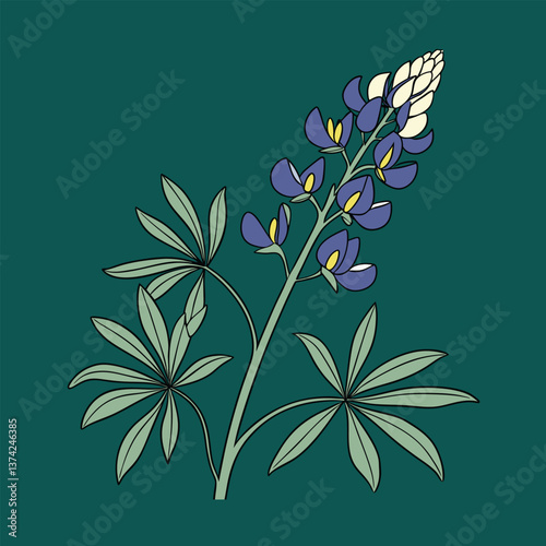 Bluebonnet vector Illustrator Artwork