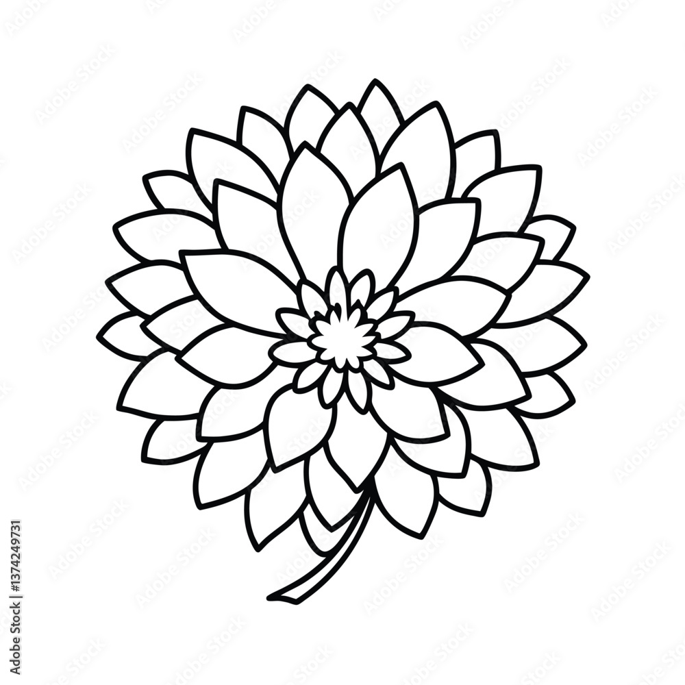 Obraz premium Elegant Line Art Drawing of a Single Dahlia Flower