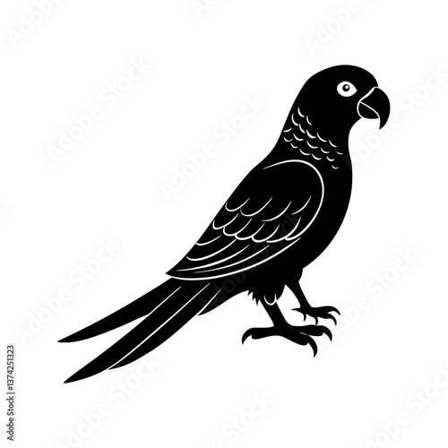 Extinct animal Carolina parakeet silhouette vector 