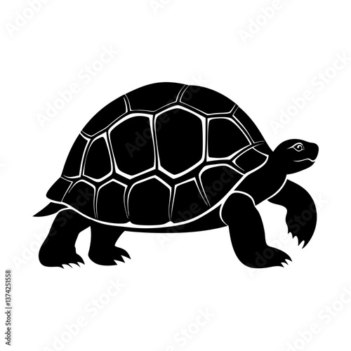  Extinct animal Pinta island Tortoise silhouette 