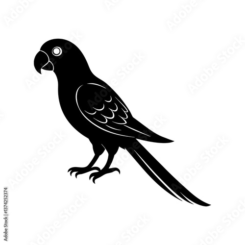 Extinct animal Carolina parakeet silhouette vector 