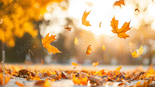 A beautiful autumn scene with leaves falling from trees