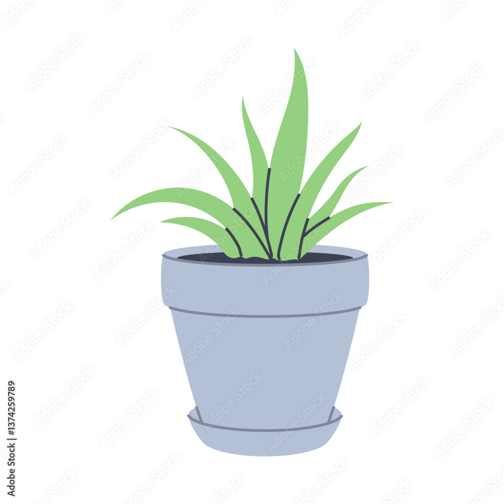 Succulent plant with in a grey pot. Ideal for modern and natural designs. Succulent plant with in a grey pot. Ideal for modern and natural designs.