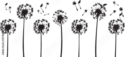 Minimalist dandelion silhouette vector illustration with seeds blowing in the wind.