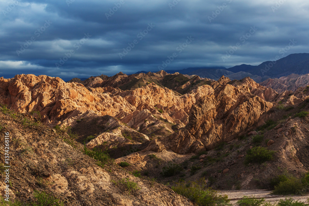 Fototapeta premium Landscapes near Cafayate