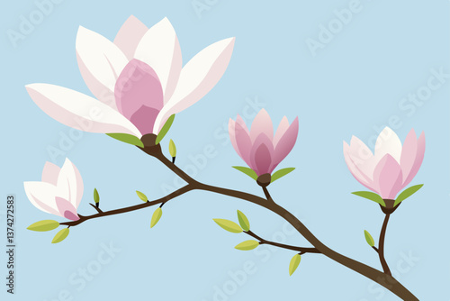 pink magnolia flowers