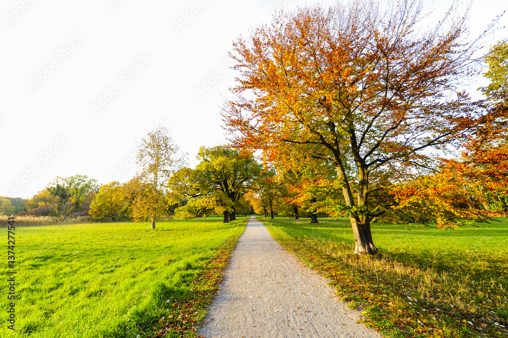 Fototapeta premium Landschaftsgarten Harrachpark im Herbst, Österreich, NIederöst
