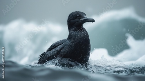 Black bird in choppy water