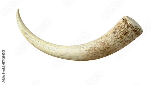 A large prehistoric mammoth tusk with various details that have fallen off due to time, an ancient mammoth tusk as a historical artifact.