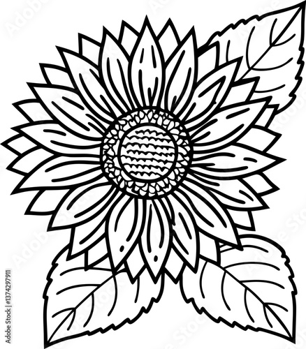 black and white sunflower illustration with detailed leaves and petals for coloring