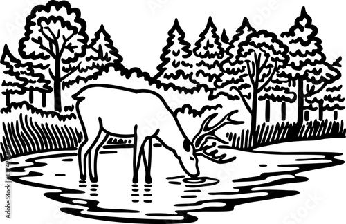 deer drinking by forest lake woodland wildlife, tranquil nature scene with trees and reflection