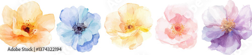 Watercolor floral clipart collection with soft pastel petals