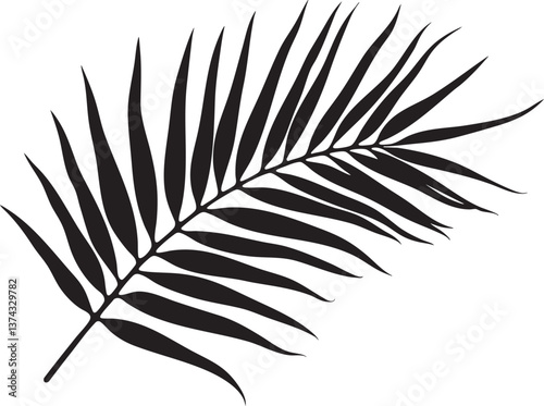 A tropical-themed collection of black palm tree and palm leaf silhouettes on white backgrounds, ideal for summer designs, prints, or beach-style decor.
