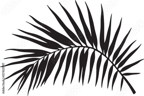 A tropical-themed collection of black palm tree and palm leaf silhouettes on white backgrounds, ideal for summer designs, prints, or beach-style decor.