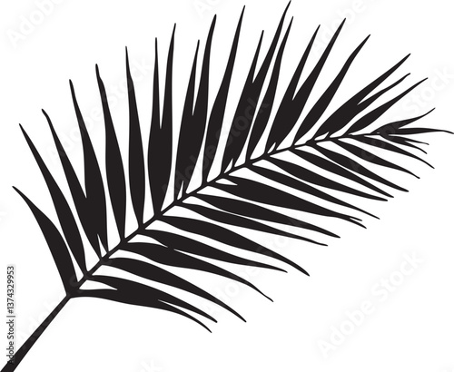 A tropical-themed collection of black palm tree and palm leaf silhouettes on white backgrounds, ideal for summer designs, prints, or beach-style decor.
