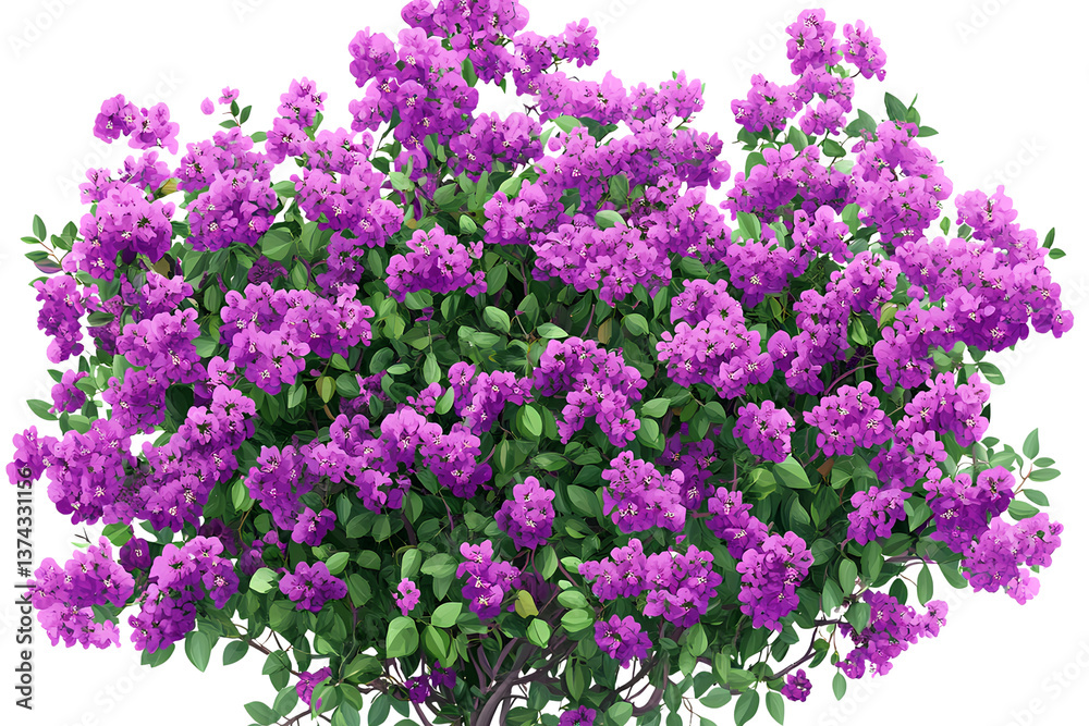 Obraz premium A purple flowering bush with green leaves, transparent background 