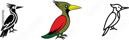 Woodpecker Bird Illustrations Black, Color, Outline Designs