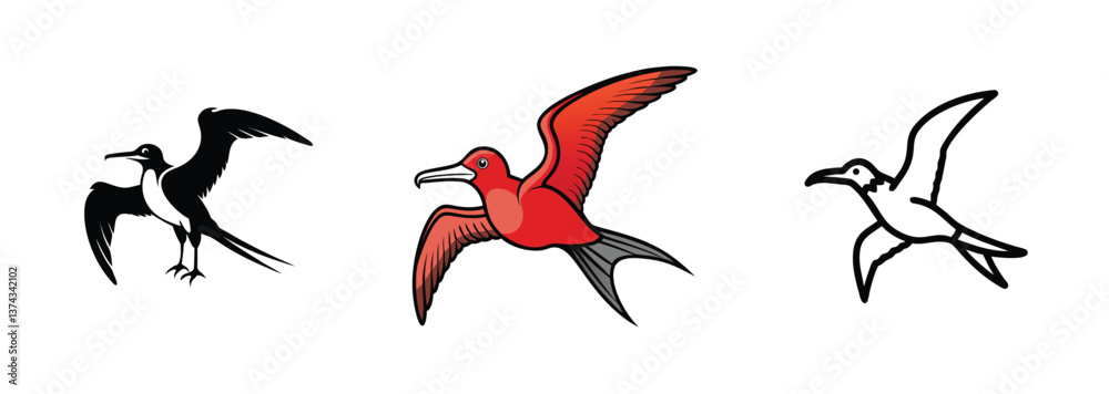 Obraz premium Magnificent Frigatebird Illustrations Black, Red, Line Art