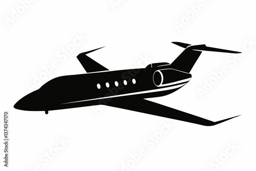 airplane in the air