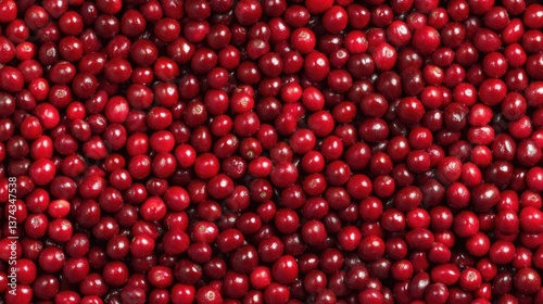 Close-up of ripe red coffee cherries drying naturally, their skins intact, intensifying sweetness and fruitiness
