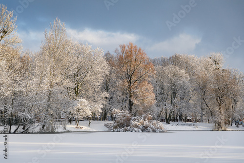 Obraz na płótnie Snow-covered trees on the lake in South Park in Kaliningrad w salonie