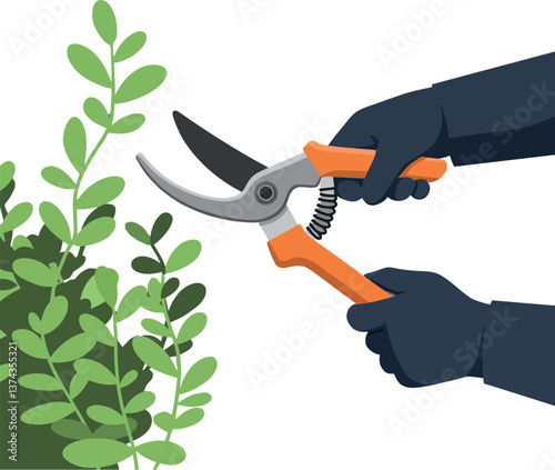 Hands using pruning shears to trim green plants in a flat vector illustration