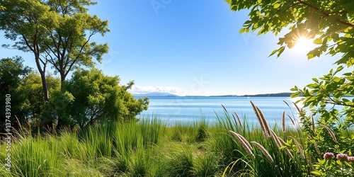 Summer Daytime Scenery, Outdoor Backgrounds