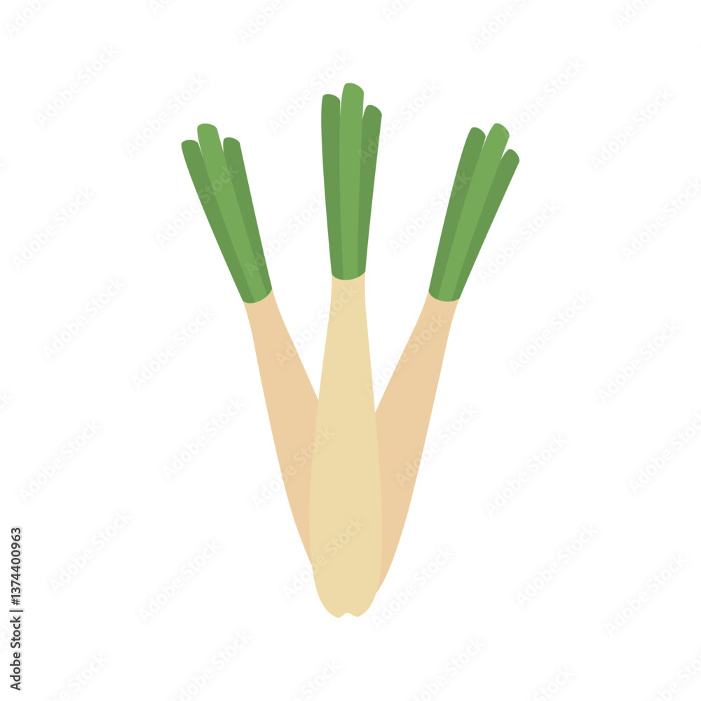 Flat Vector Illustration of Fresh Spring Onions with Green Tops on a White Background