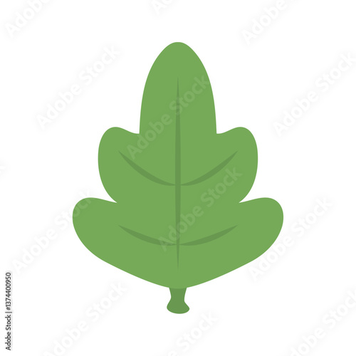 Flat Vector Illustration of a Fresh Green Spinach Leaf on White Background