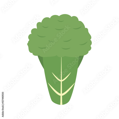 Illustration of a Romanesco broccoli, characterized by its fractal geometric patterns, representing a healthy vegetable, an ingredient for cooking