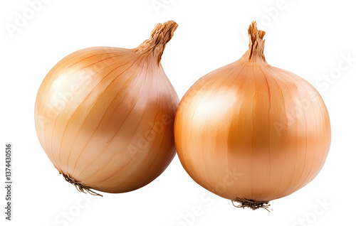 Wallpaper Mural Two onions isolated on a transparent background Torontodigital.ca