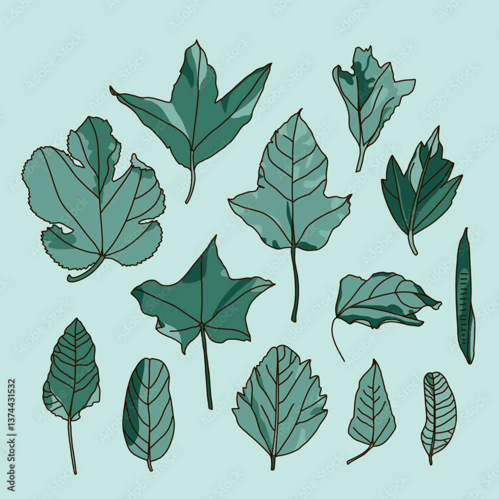Collection of Hand-Drawn Tropical Leaves in a Botanical Style