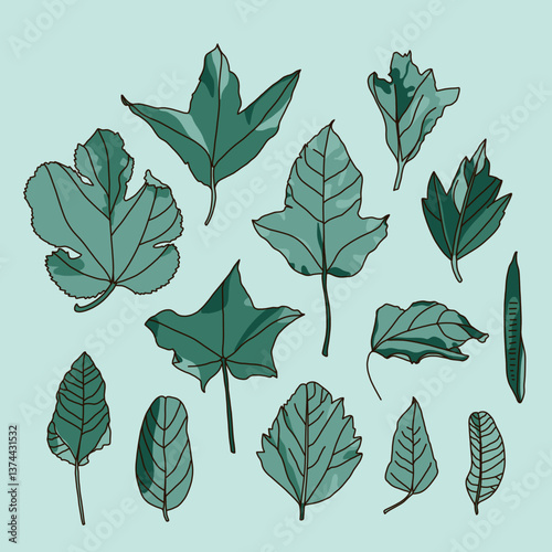 Collection of Hand-Drawn Tropical Leaves in a Botanical Style