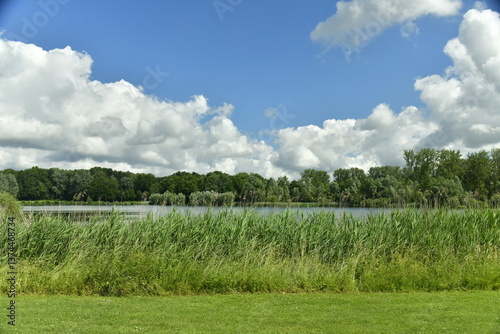 Le lac aux rives verdoyante en été au domaine provincial De Gravers à Schendelbeke  photo